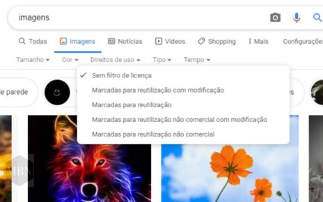 Google começa a exibir emblemas licenciáveis em imagens