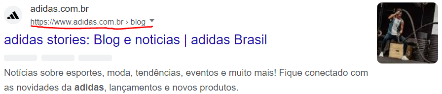Resultado da Pesquisa por Blog Adidas no Google Brasil